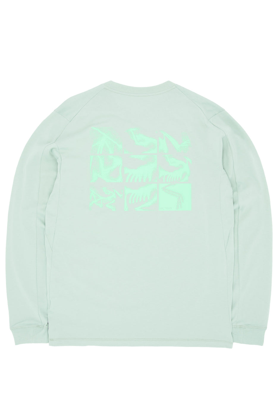 Arc'teryx Men's Kragg SL Bird Tile Long Sleeve T-Shirt - Stone Green / Phosphorescent