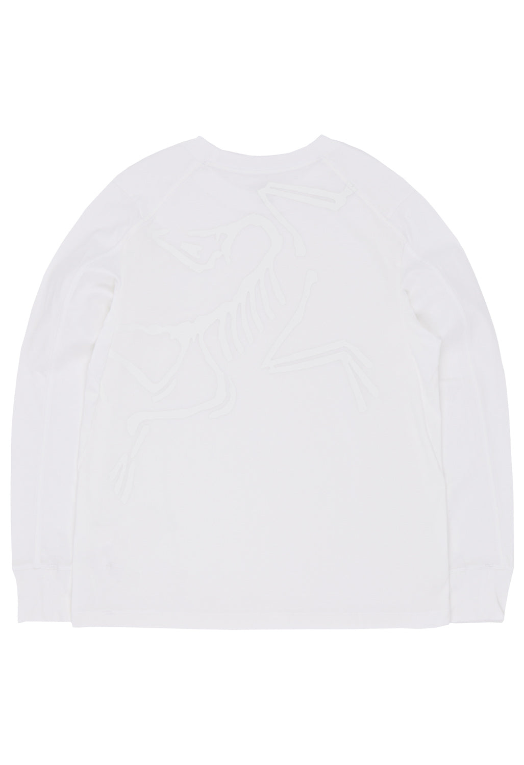 Arc'teryx Women's Kragg Bird Long Sleeve T-Shirt - White Light / White