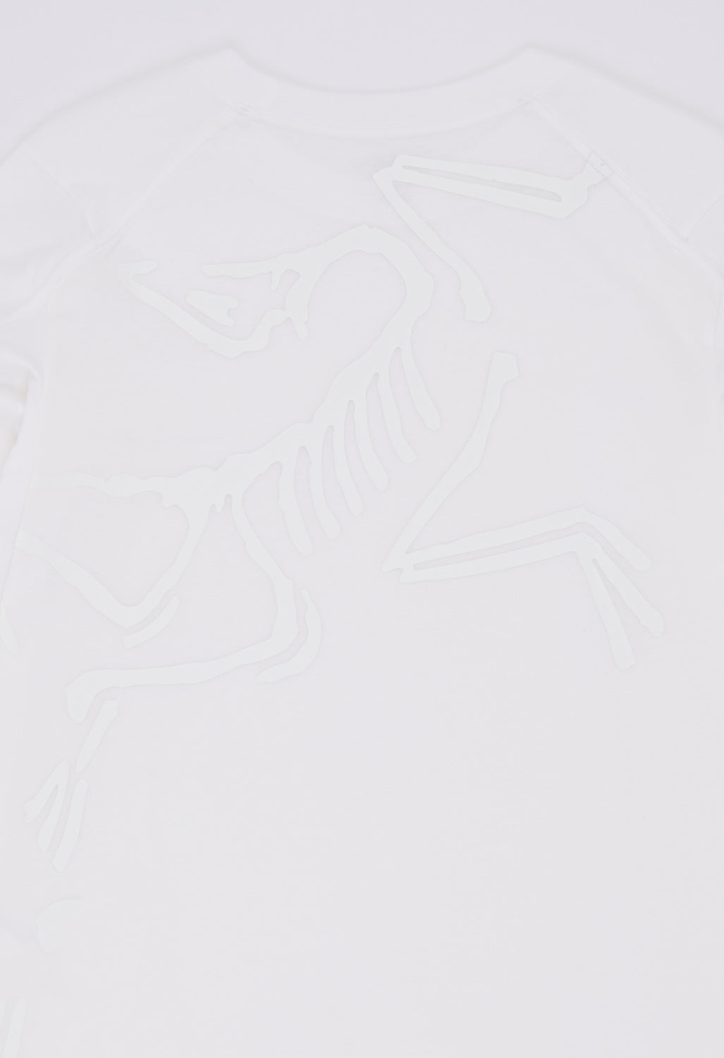 Arc'teryx Women's Kragg Bird Long Sleeve T-Shirt - White Light / White
