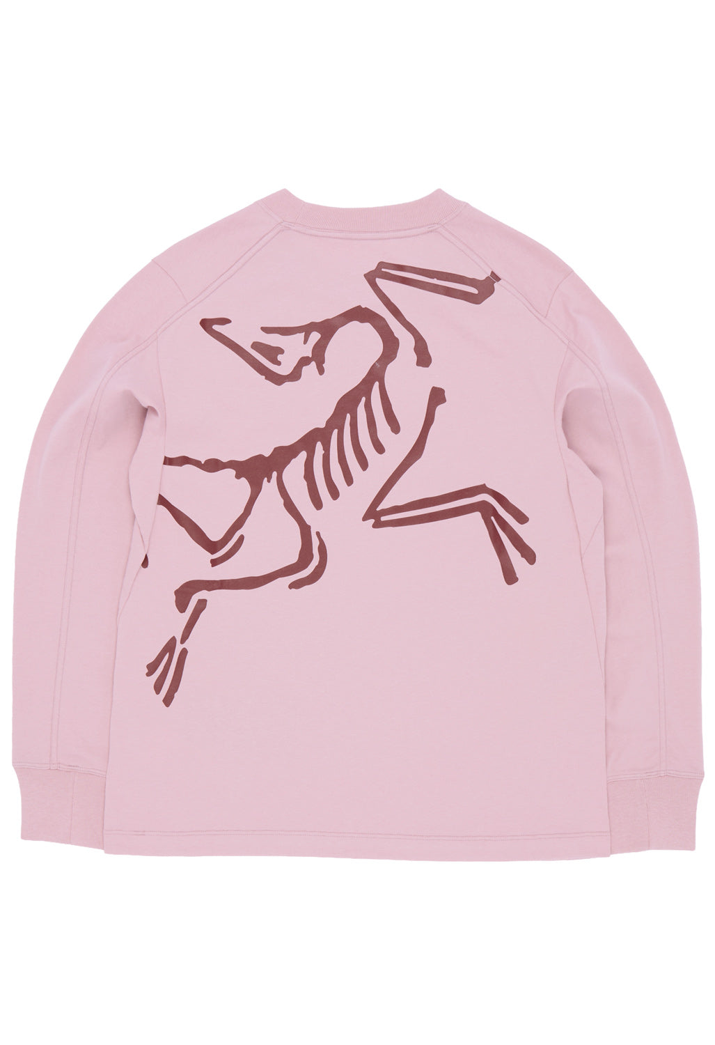 Arc'teryx Women's Kragg Bird Long Sleeve T-Shirt - Bliss / Mars