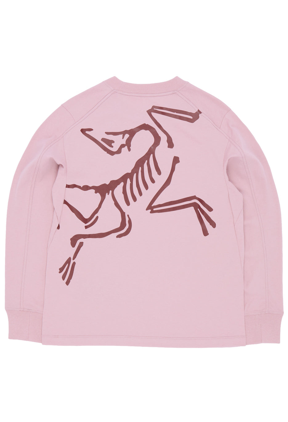 Arc'teryx Women's Kragg Bird Long Sleeve T-Shirt - Bliss / Mars