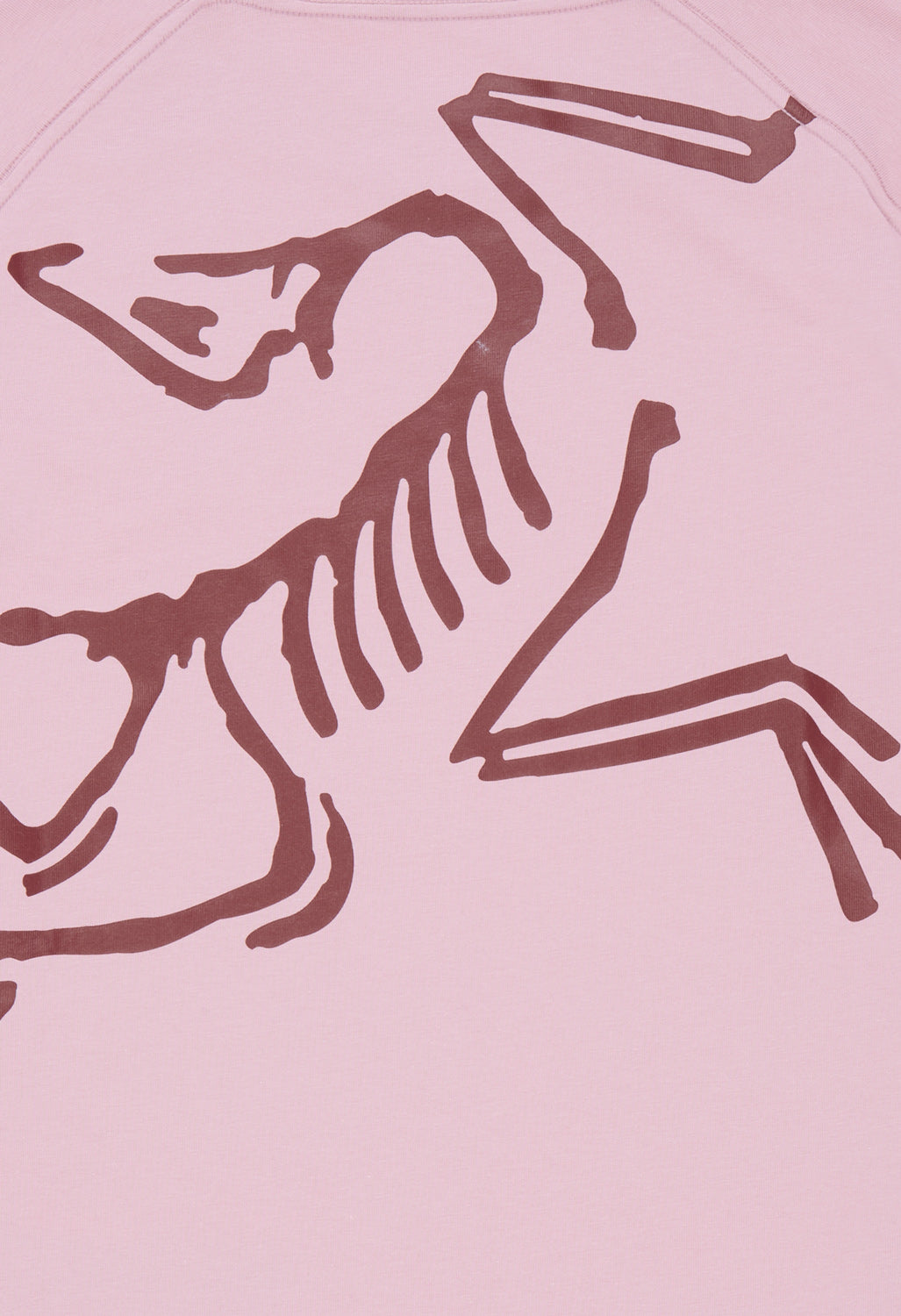 Arc'teryx Women's Kragg Bird Long Sleeve T-Shirt - Bliss / Mars