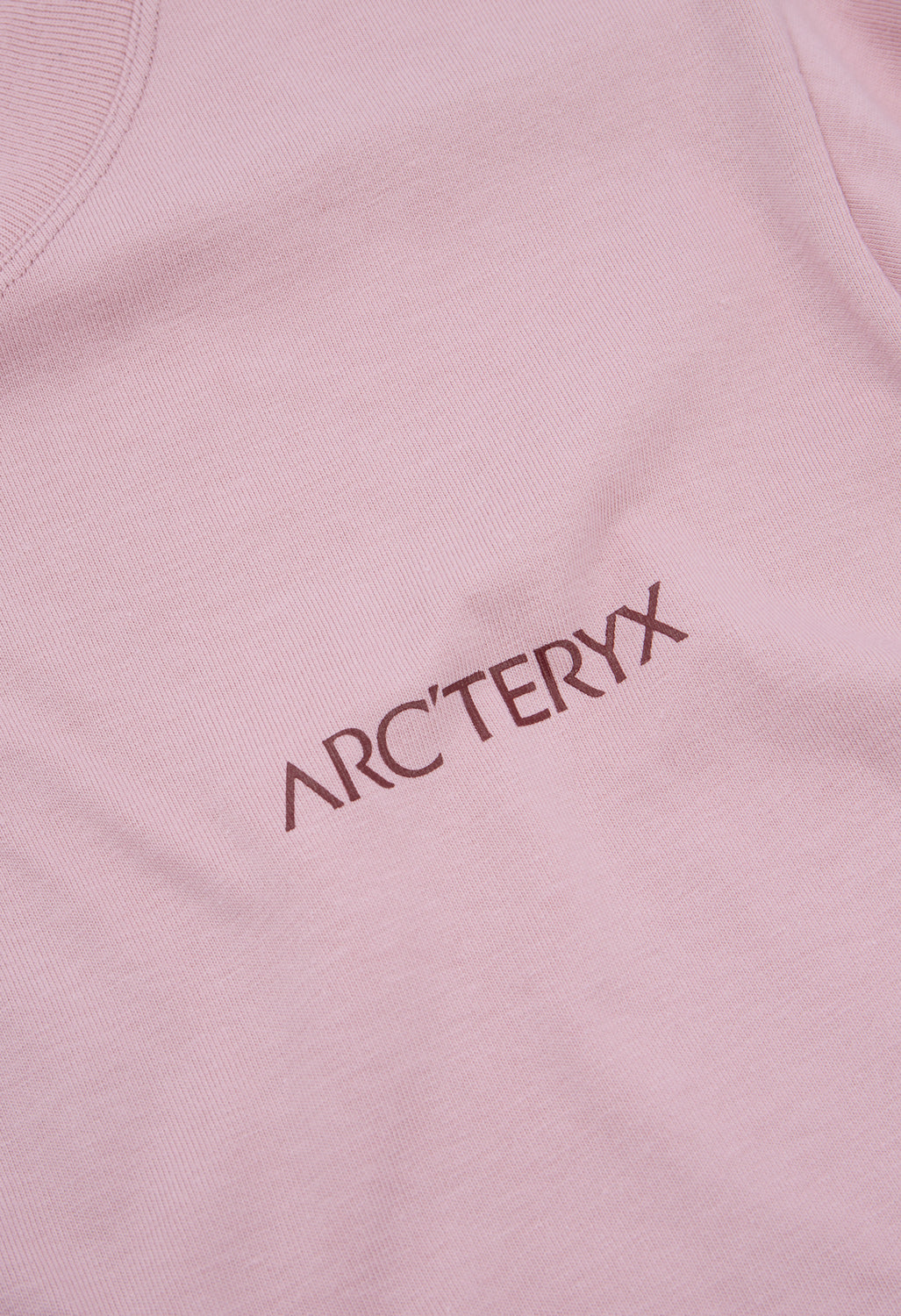 Arc'teryx Women's Kragg Bird Long Sleeve T-Shirt - Bliss / Mars