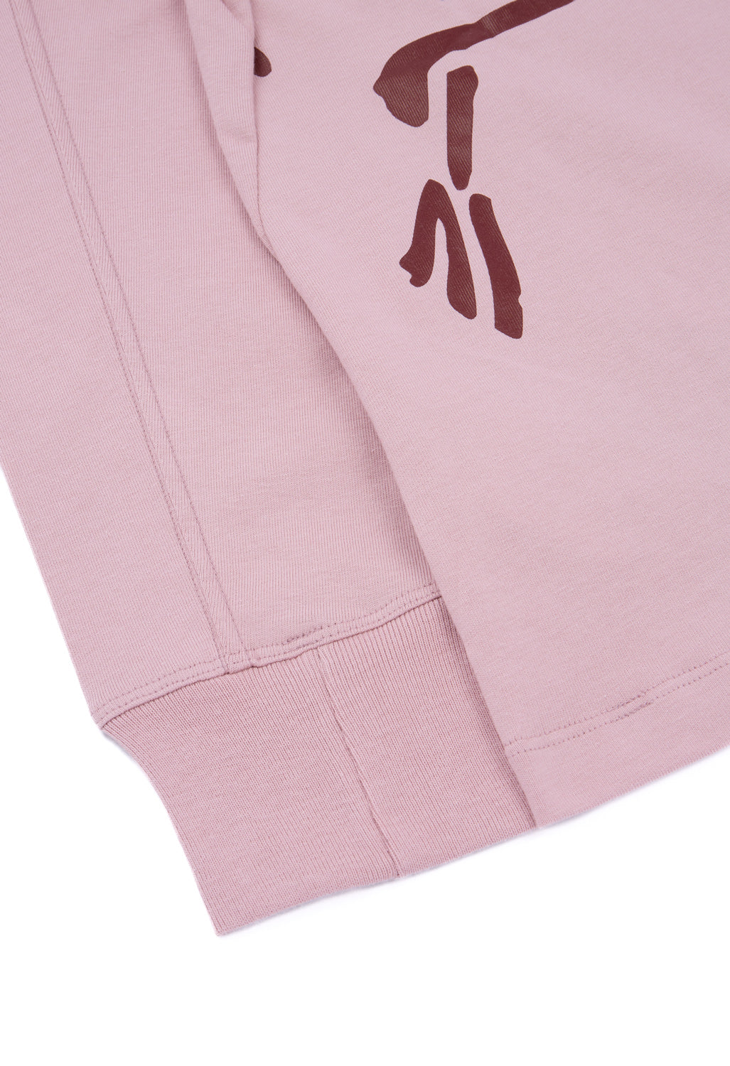 Arc'teryx Women's Kragg Bird Long Sleeve T-Shirt - Bliss / Mars