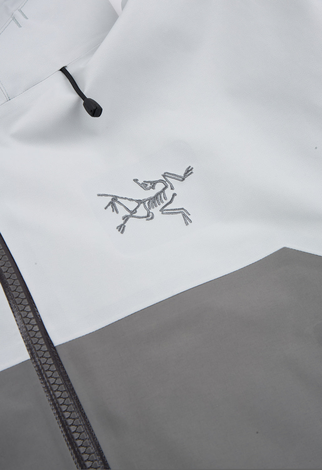 Arc'teryx Men's Beta AR Jacket - Solitude / Void