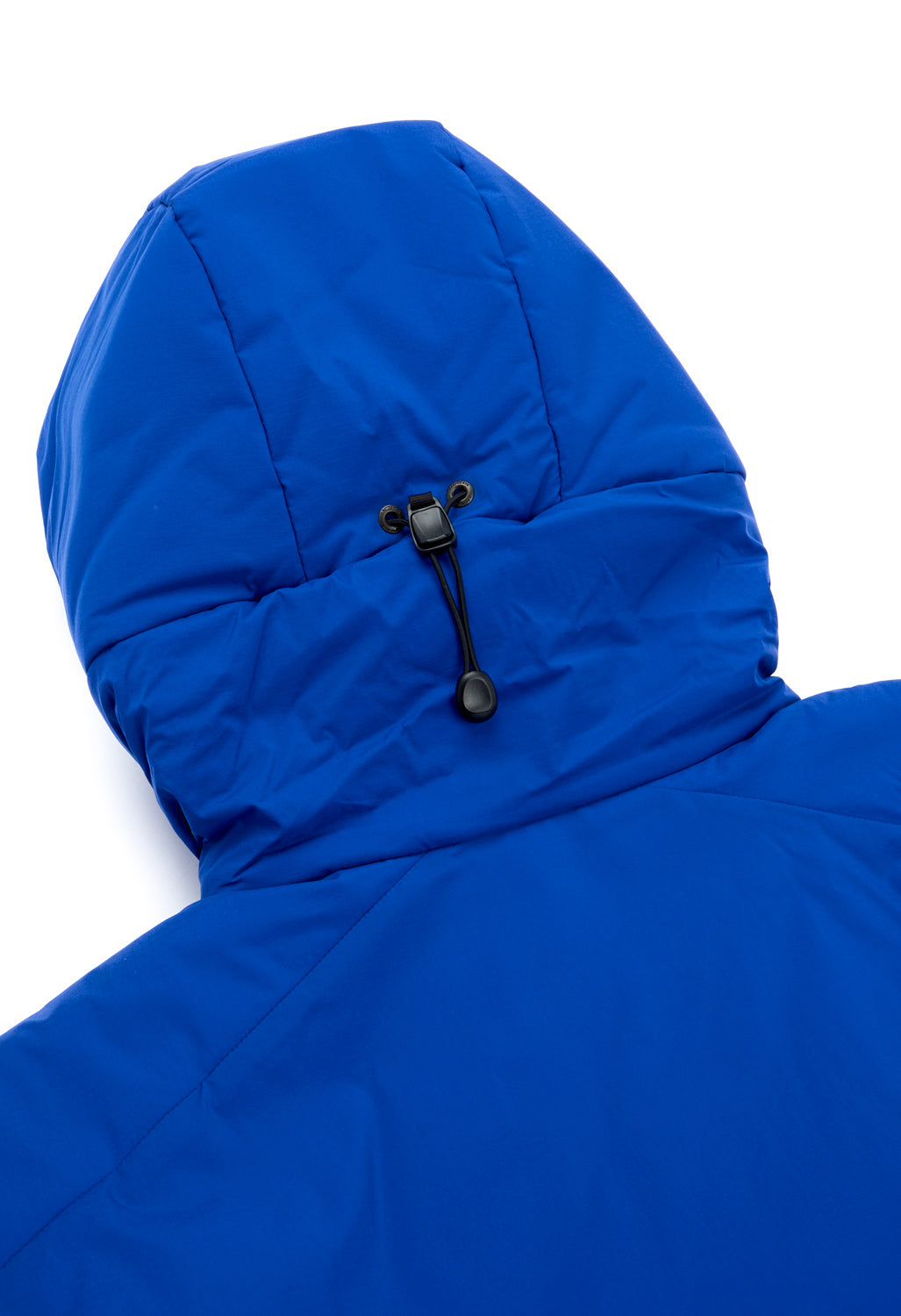 Arc'teryx Men's Atom SV Hoody - Vitality