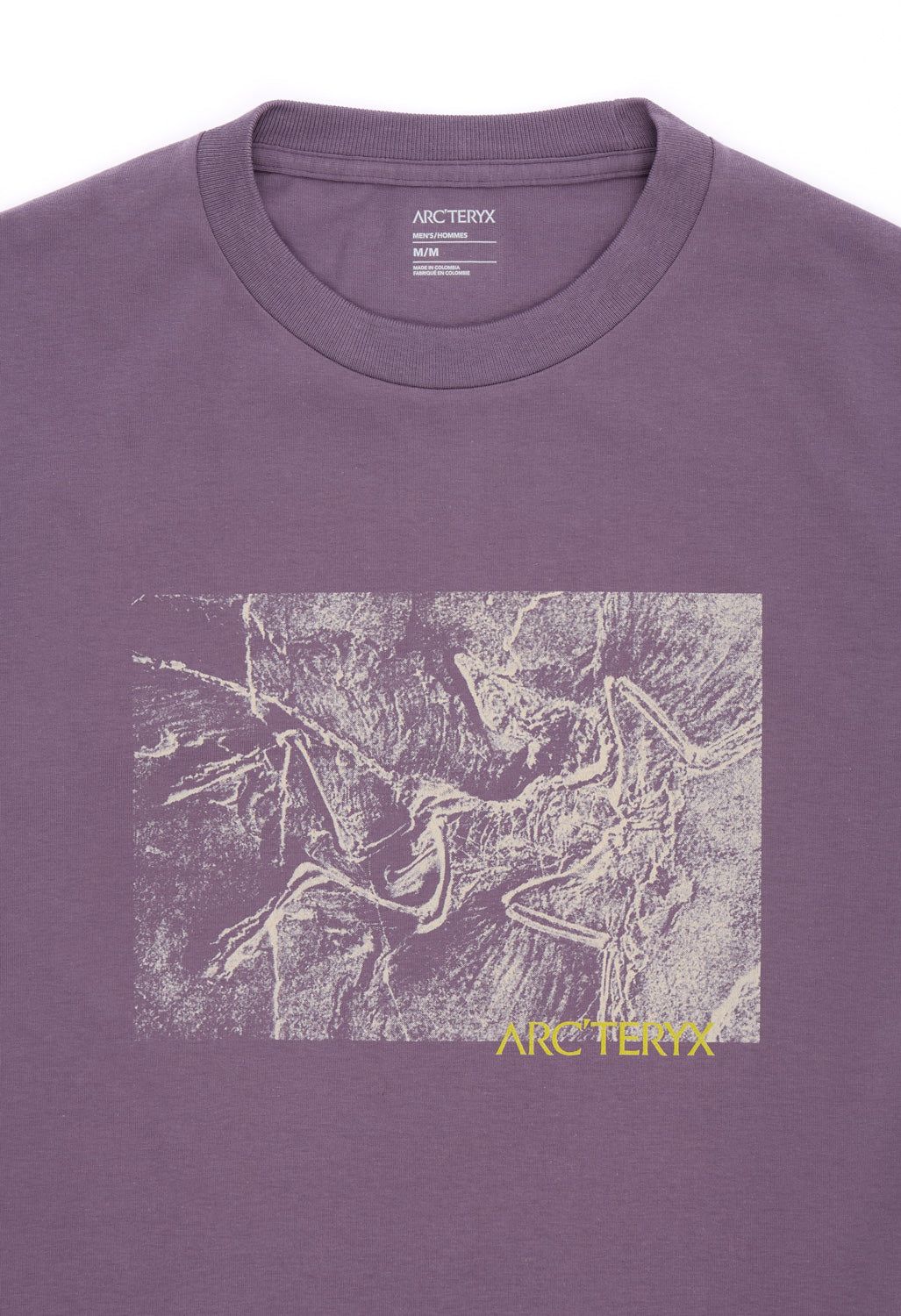 Arc'teryx Men's Kragg Cotton Lithographica Short Sleeved T-Shirt - Lt Moondrop