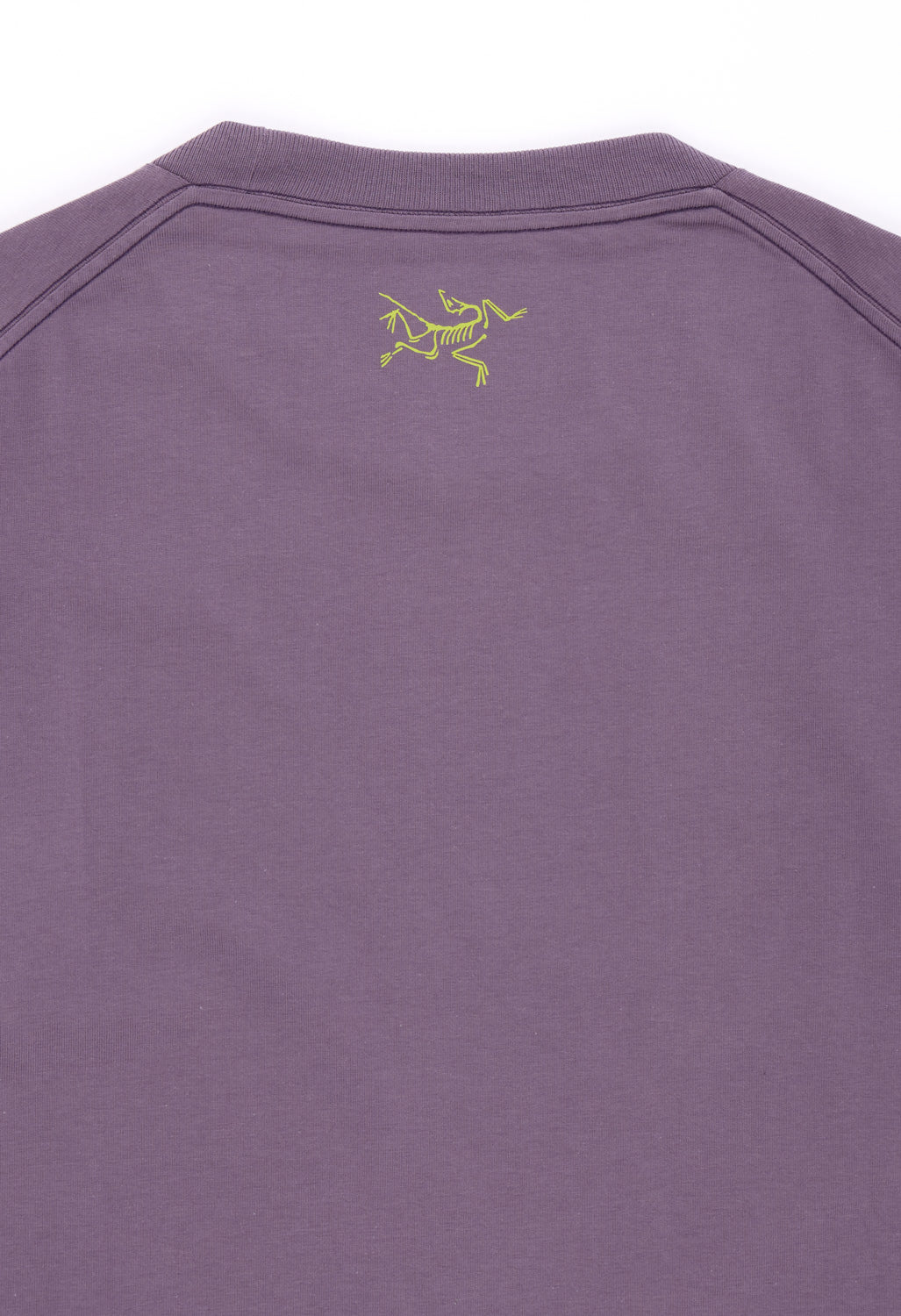 Arc'teryx Men's Kragg Cotton Lithographica Short Sleeved T-Shirt - Lt Moondrop