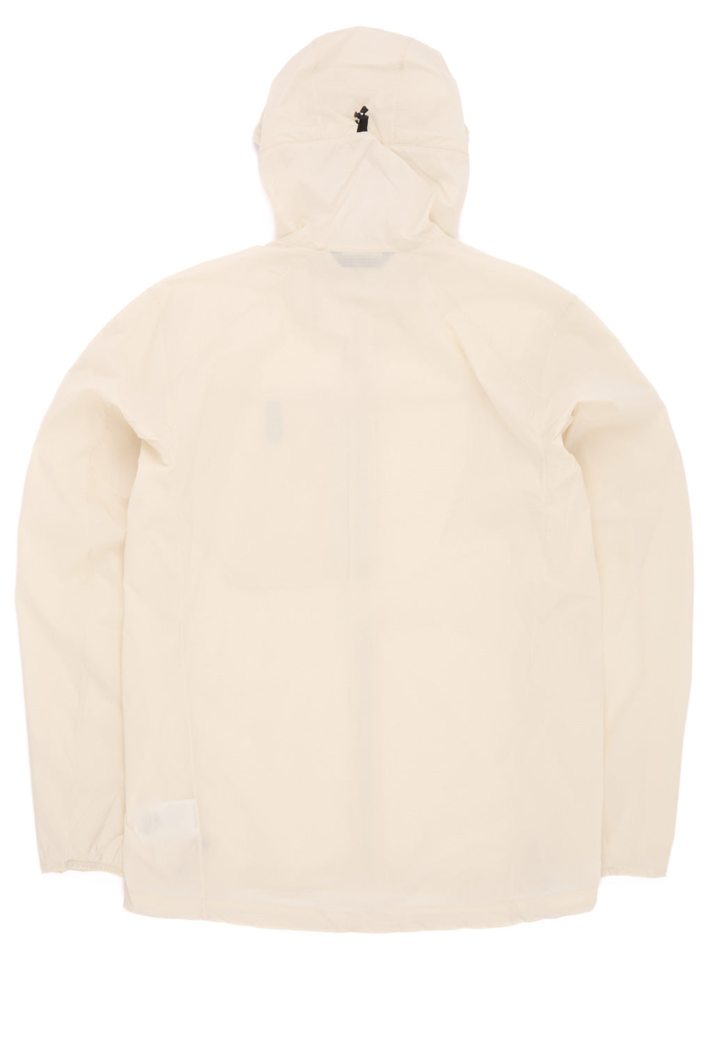 Arc'teryx Men's Squamish Hoody - Sea Salt
