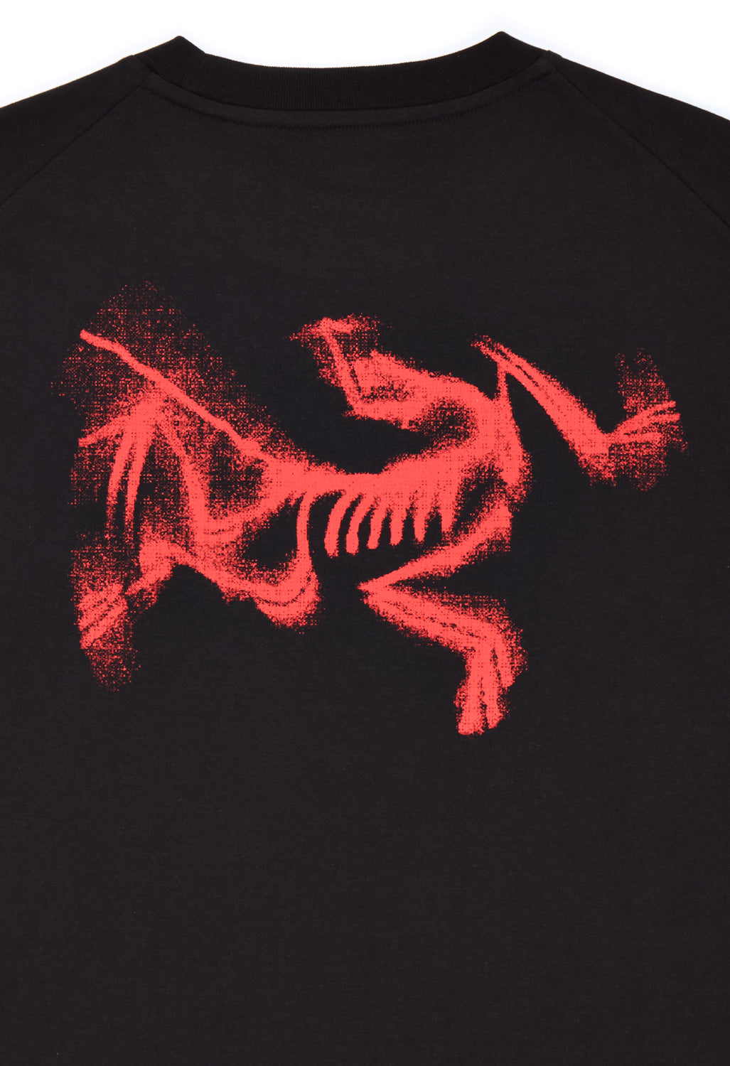 Arc'teryx Men's SL Cotton Blurred Bird Short Sleeved T-Shirt - Black / Dynasty