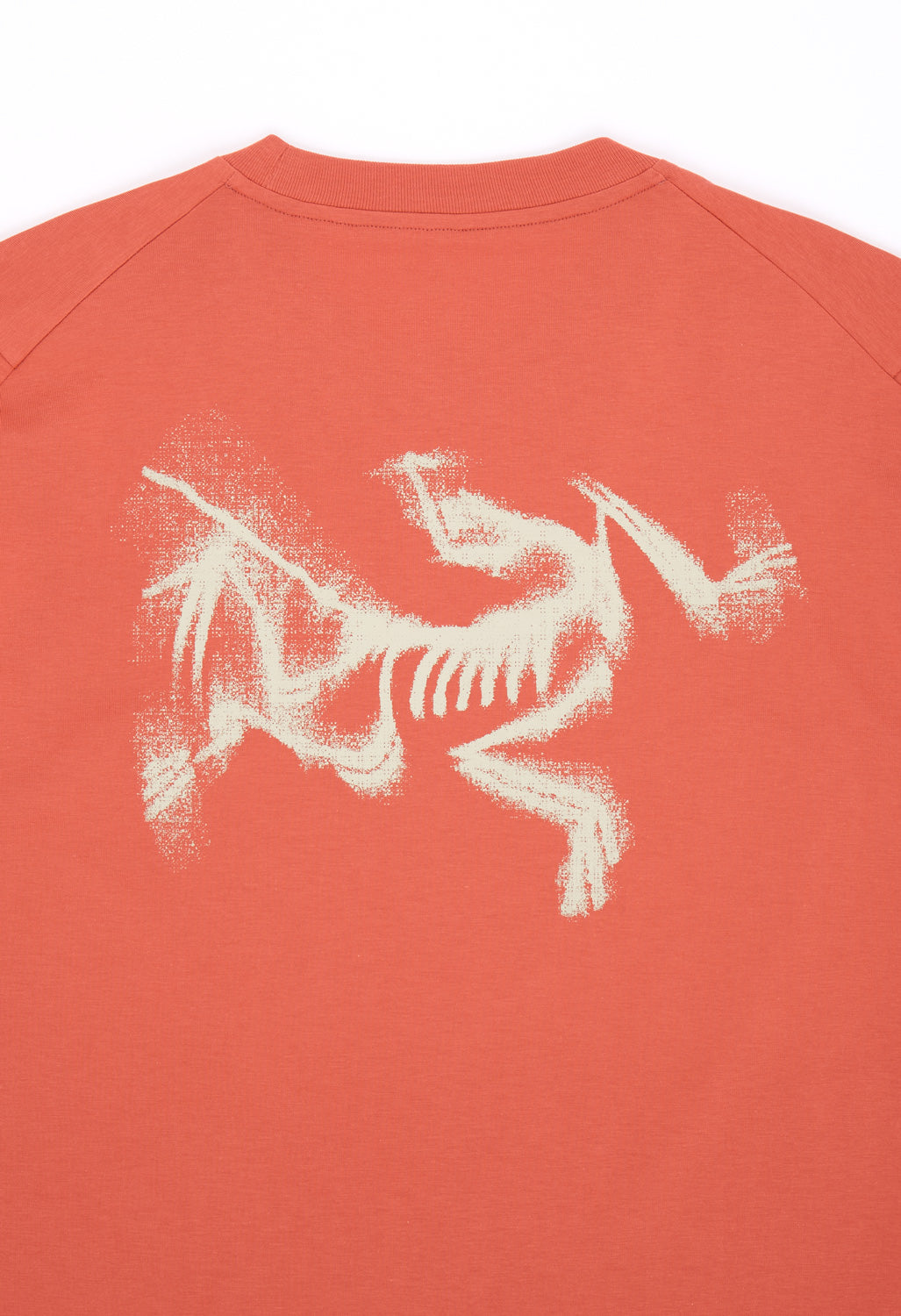 Arc'teryx Men's SL Cotton Blurred Bird Short Sleeved T-Shirt - Stone Red