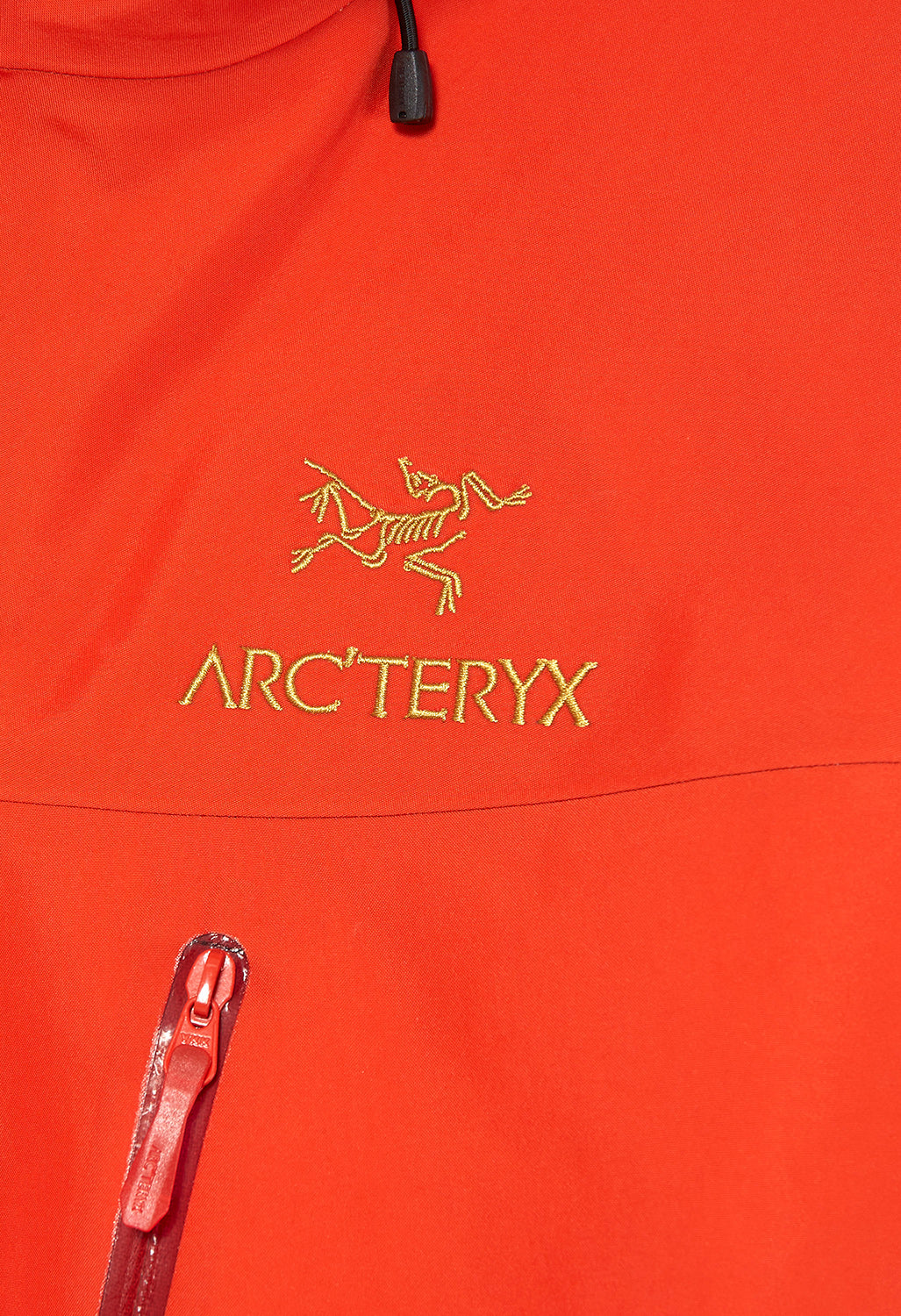 Arc'teryx Alpha SV GORE-TEX Pro Men's Jacket - Dynasty