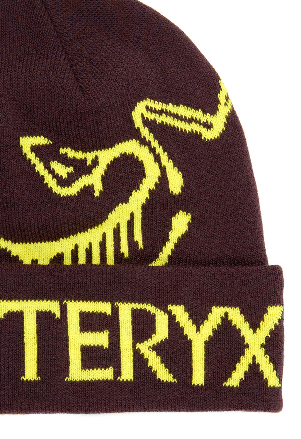 Arc'teryx Bird Word Toque - Phantasm / Euphoria