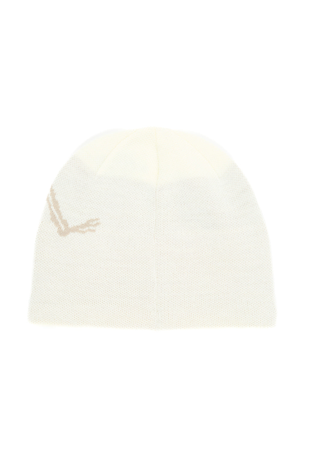 Arc'teryx Bird Head Toque - Arctic Silk / Atmos