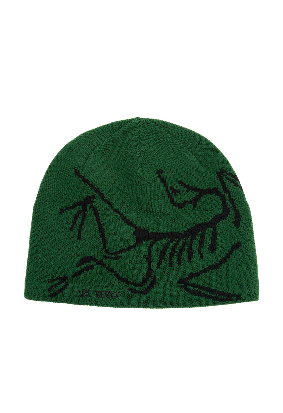 Arc'teryx Bird Head Toque - Eden / Black