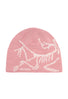 Arc'teryx Bird Head Toque - Bliss / Arctic Silk