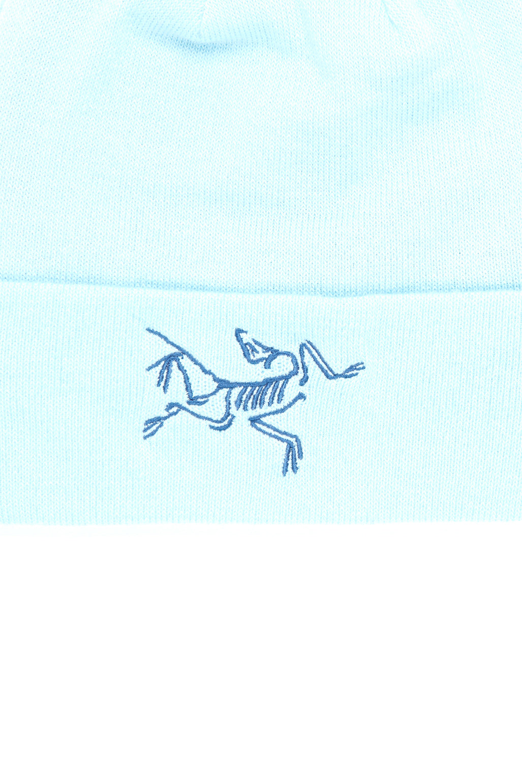 Arc'teryx Embroidered Bird Toque - Glissade