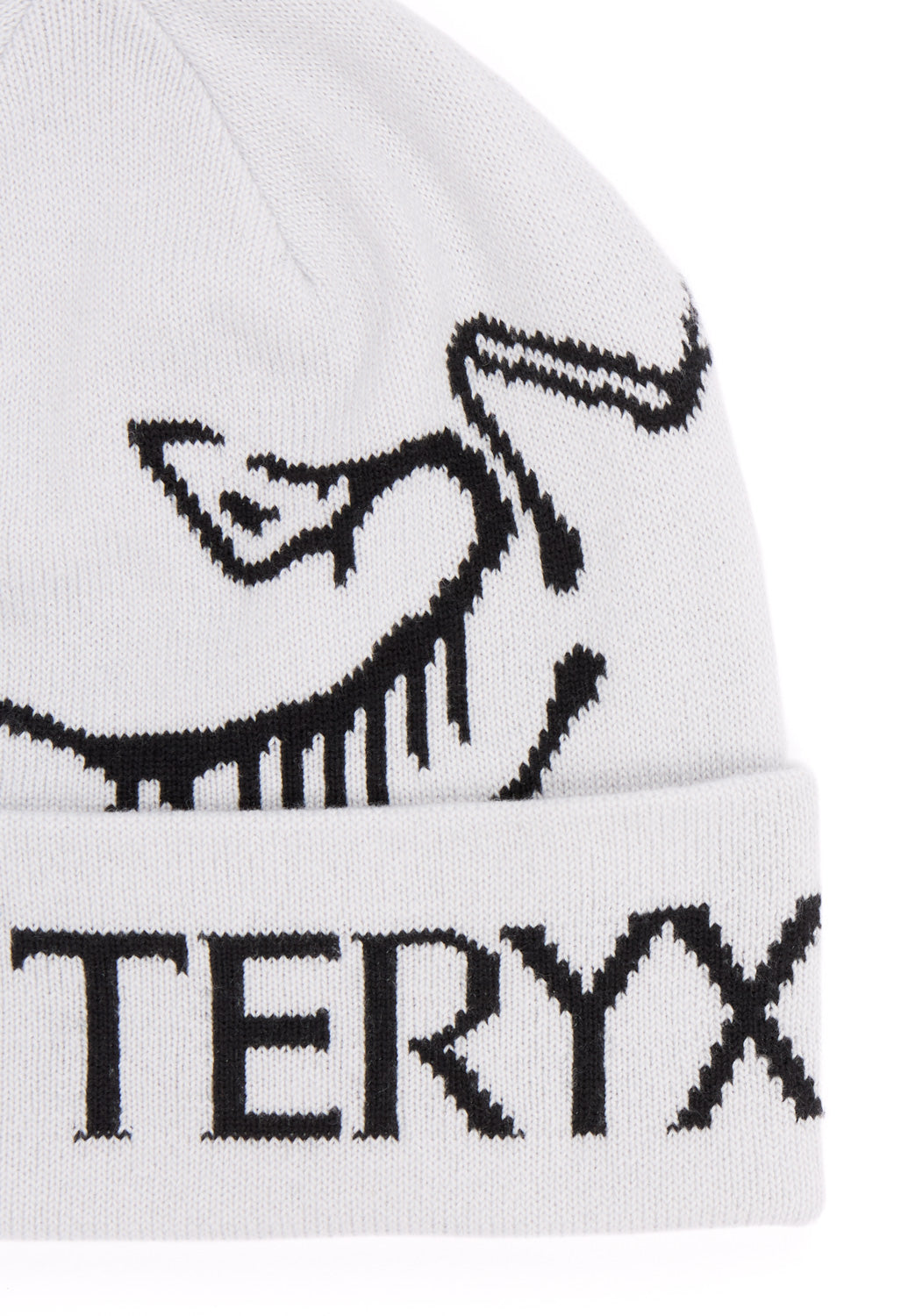 Arc'teryx Bird Word Toque - Orca