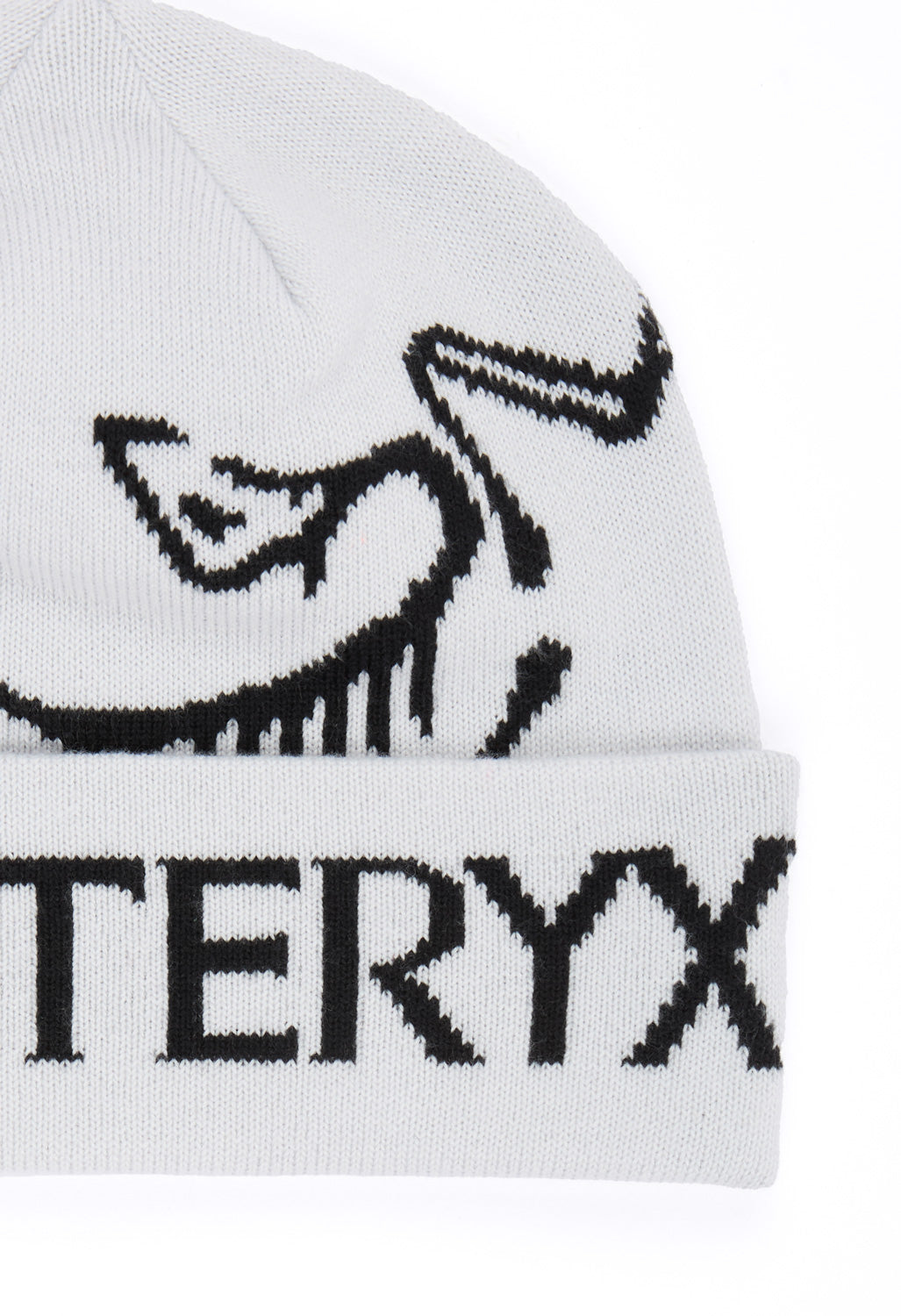 Arc'teryx Bird Word Toque - Orca