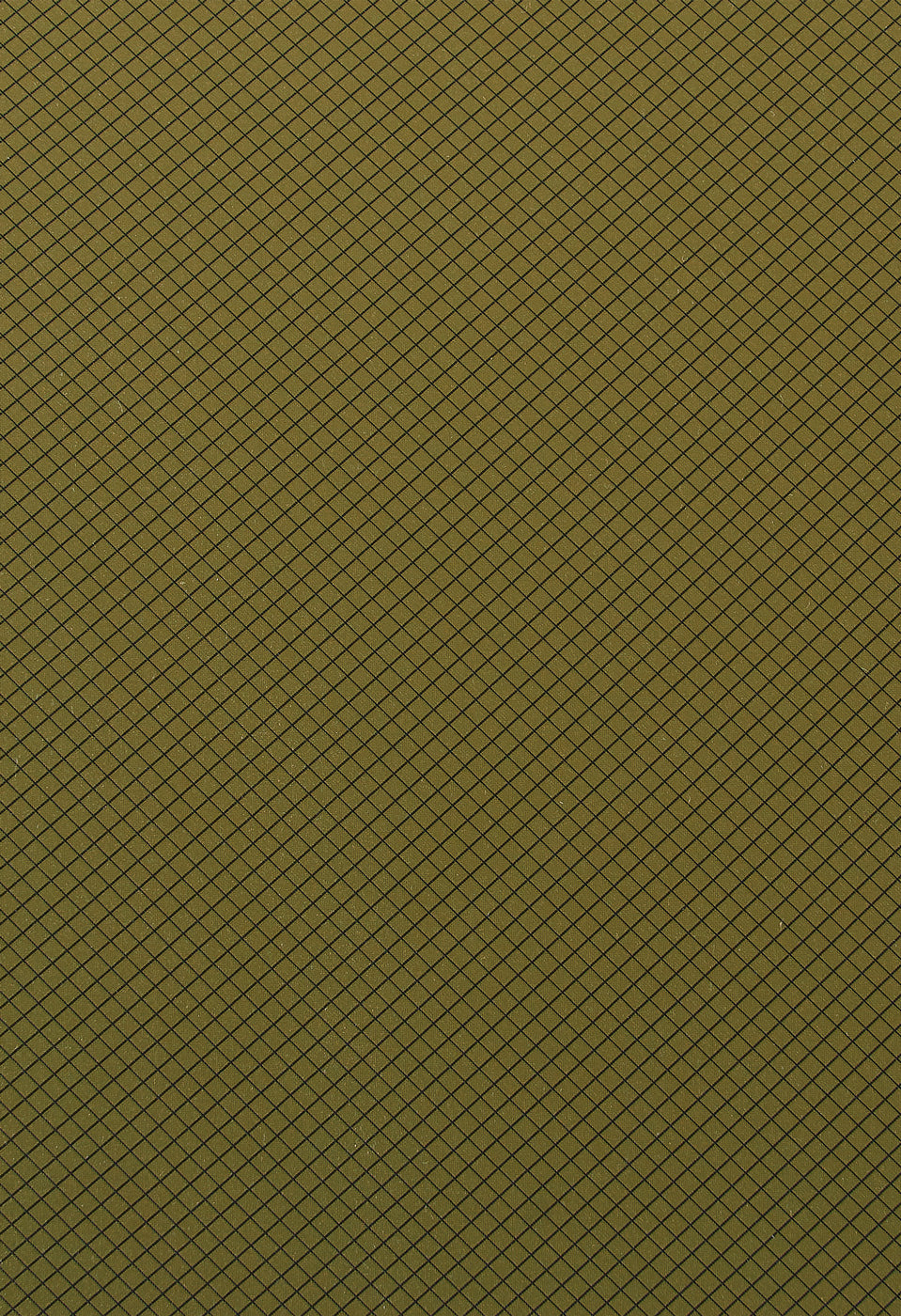 MSR Hubba Hubba HD 2 Person Tent - Olive Night