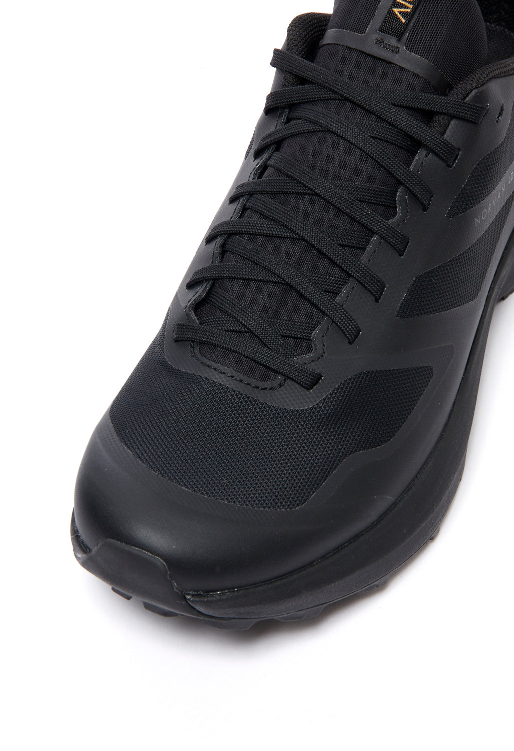 Arc'teryx Norvan LD 3 GORE-TEX Men's Shoes - Black/Black