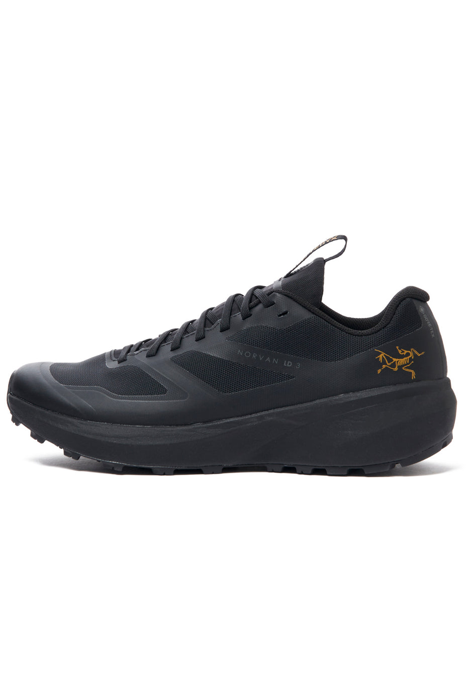Arc'teryx Norvan LD 3 GORE-TEX Men's Shoes 0