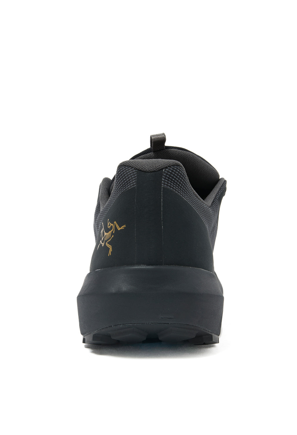 Arcteryx Norvan LD 4 GORE-TEX Trail Running Shoes - Black / Black