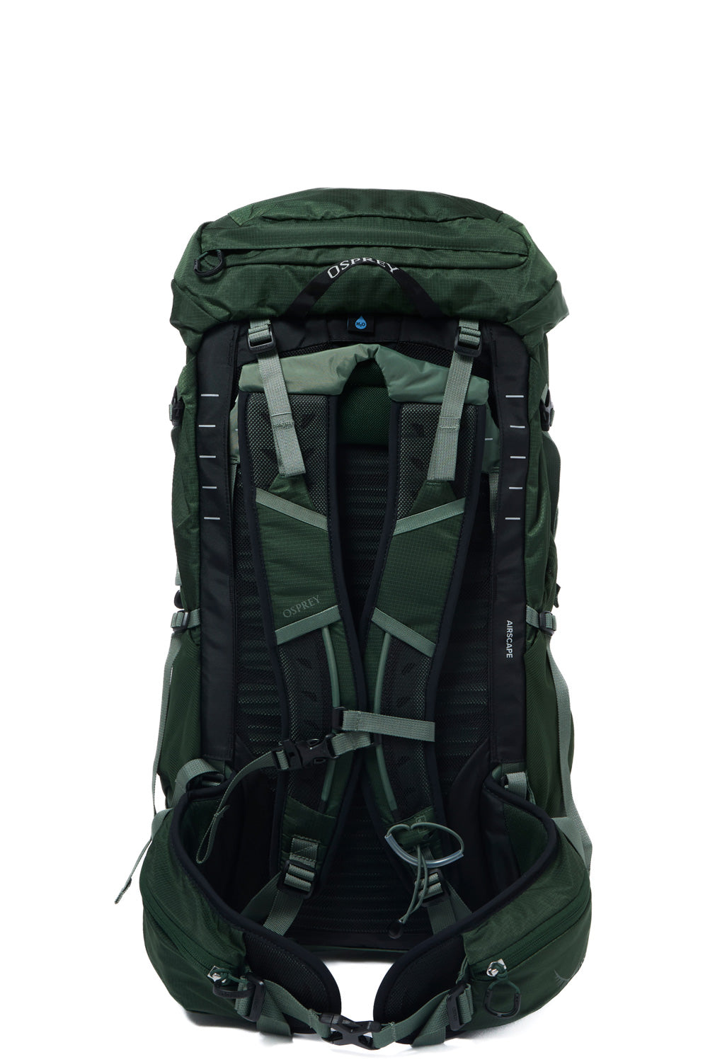Osprey Talon 33 - Green Canopy  /  Pine Leaf