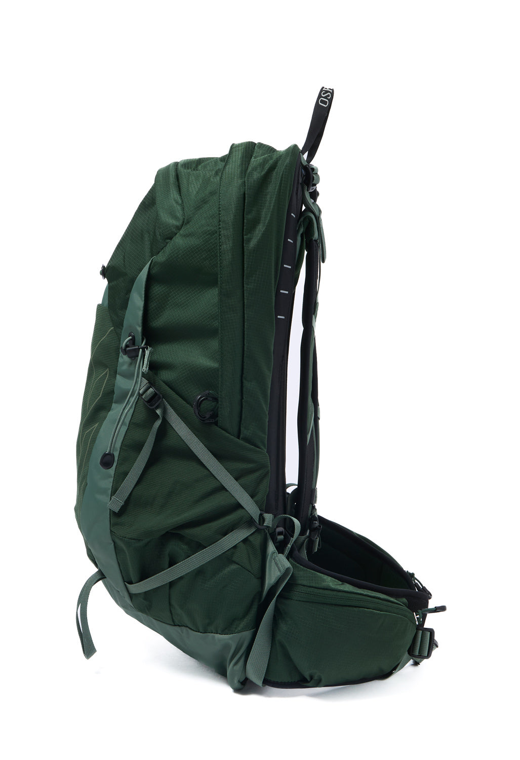Osprey Talon 22 - Green Canopy  /  Pine Leaf