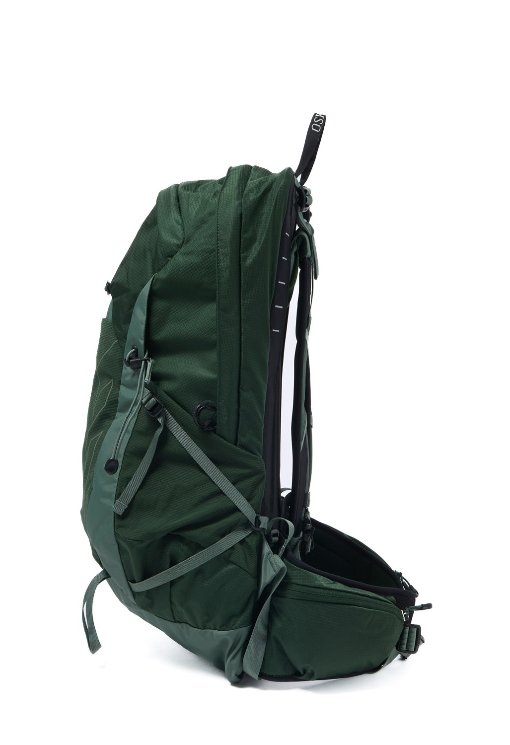 Osprey Talon 22 - Green Canopy  /  Pine Leaf
