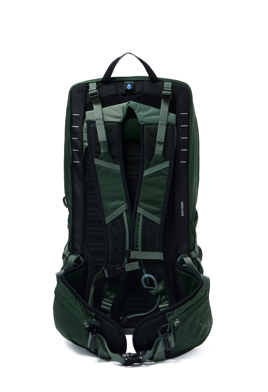 Osprey Talon 22 - Green Canopy  /  Pine Leaf