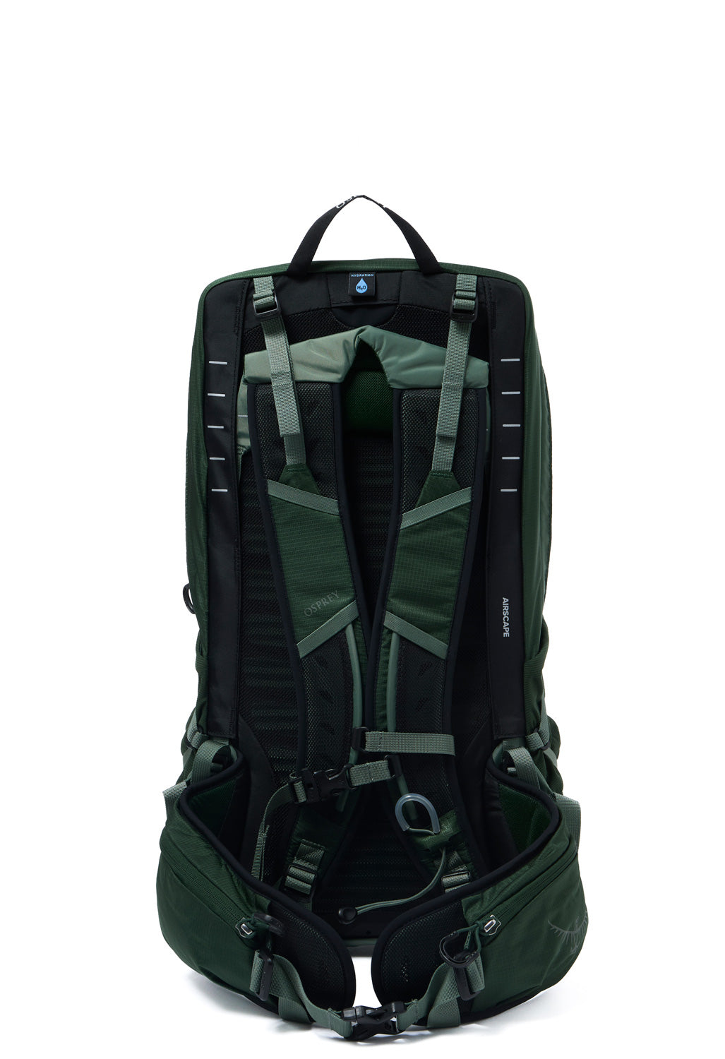 Osprey Talon 22 - Green Canopy  /  Pine Leaf