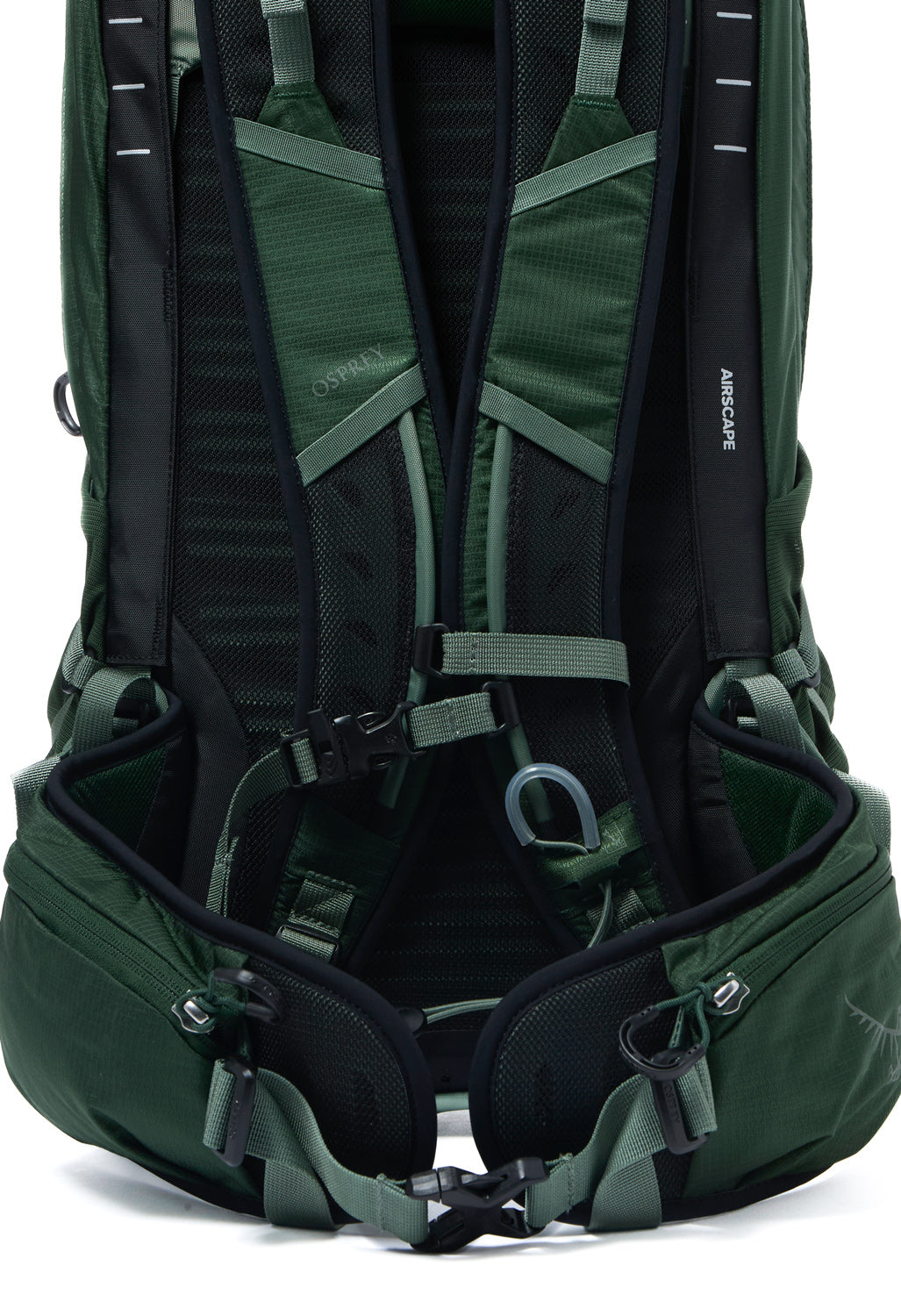 Osprey Talon 22 - Green Canopy  /  Pine Leaf