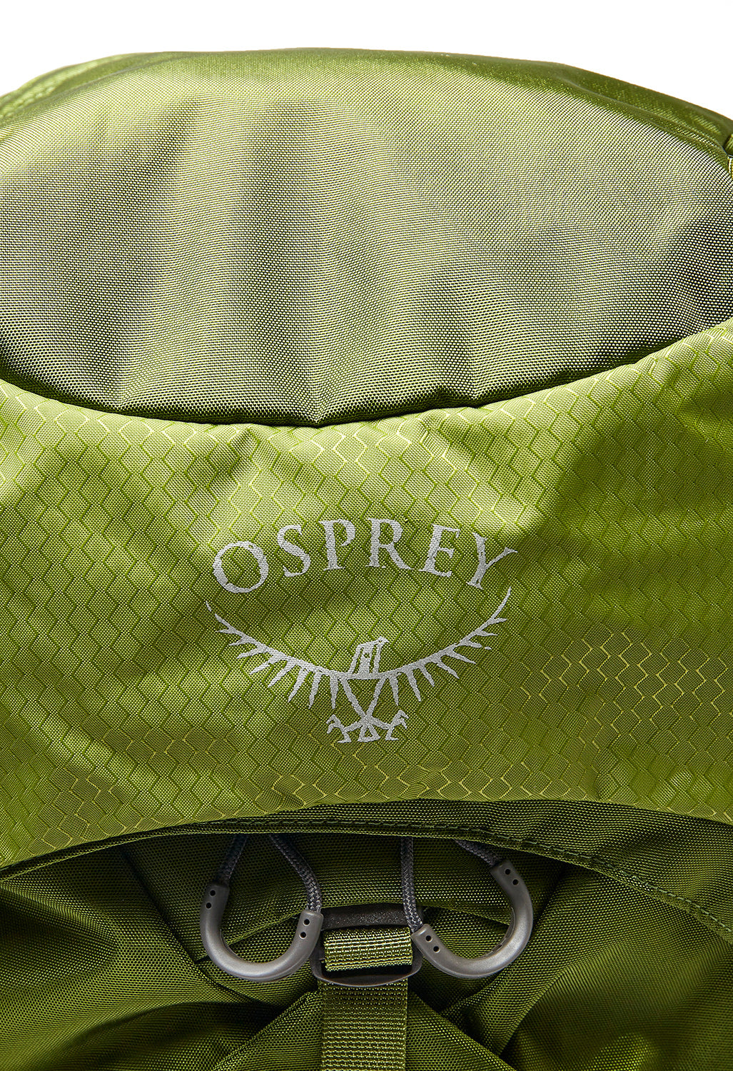 Osprey Aether 65 Backpack - Garlic Mustard Green