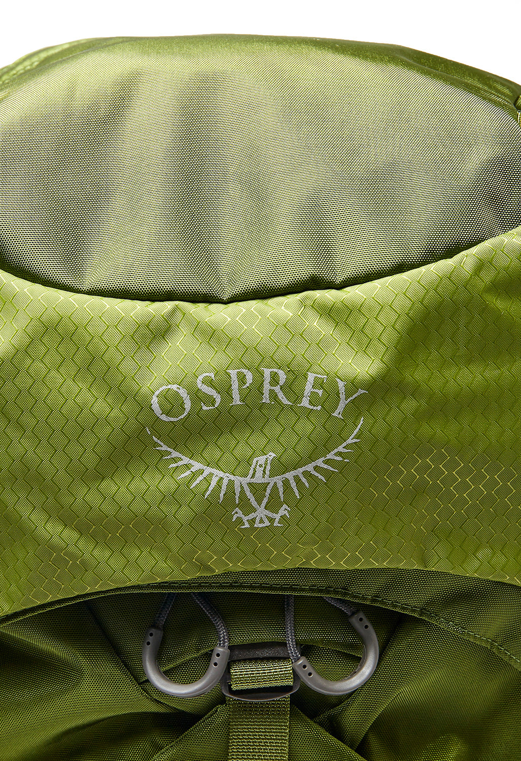 Osprey Aether 65 Backpack - Garlic Mustard Green
