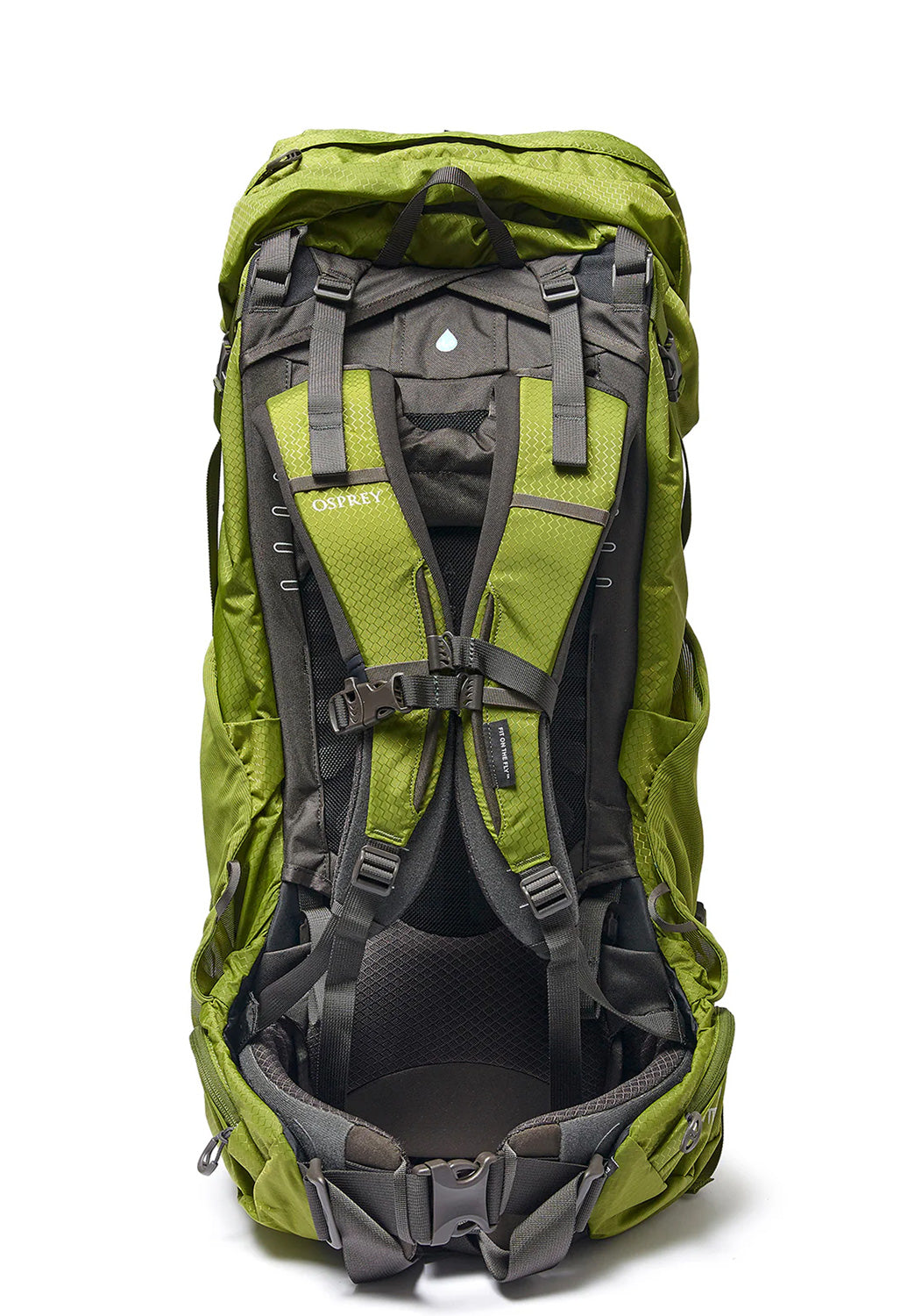 Osprey Aether 65 Backpack - Garlic Mustard Green