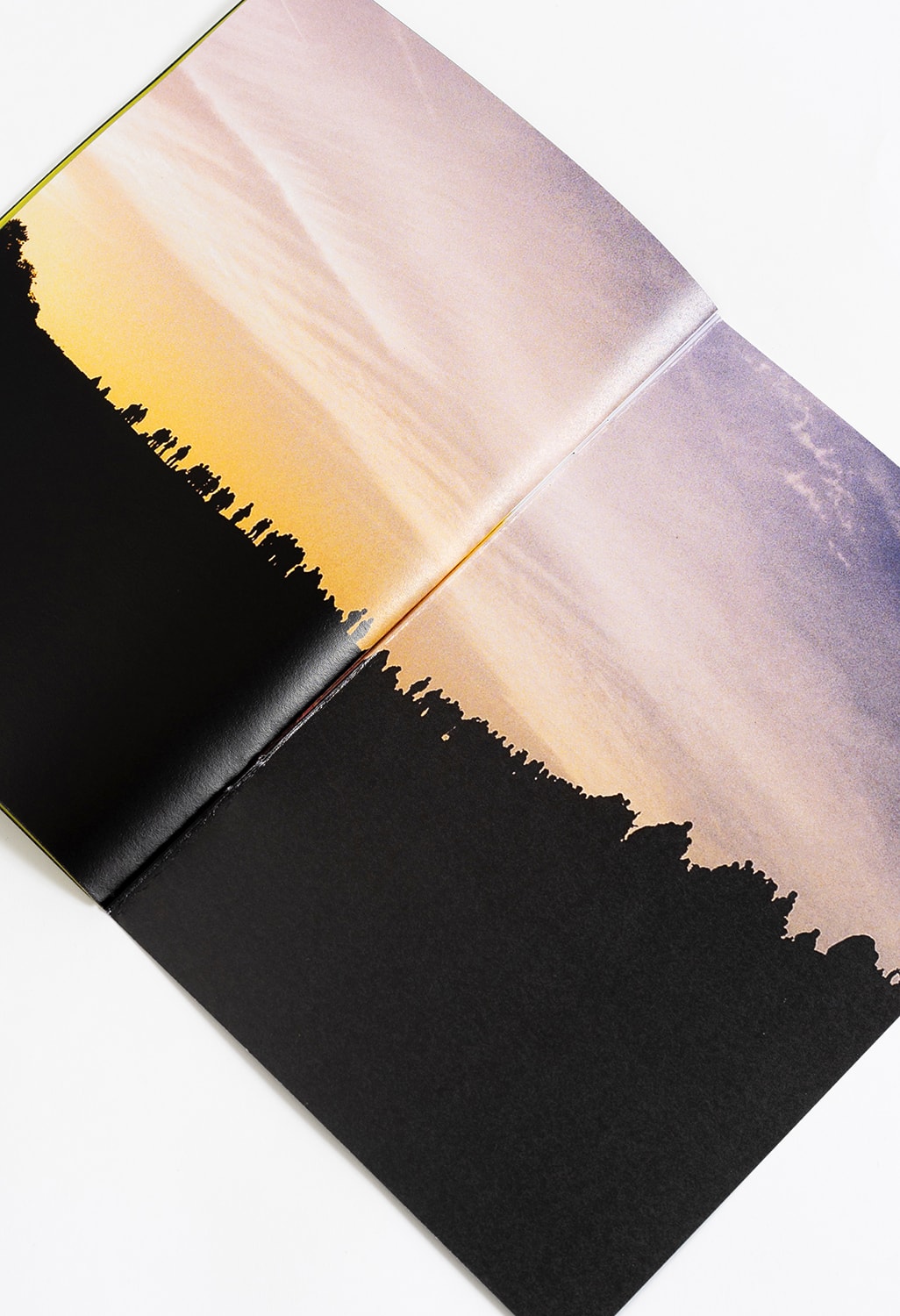 Weird Walk Zine Issue 1