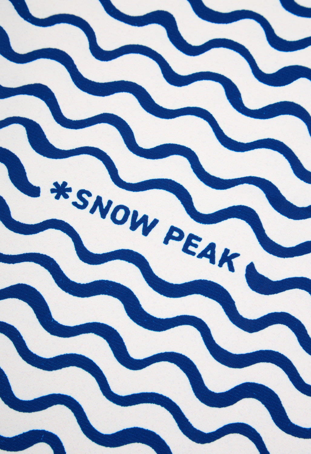 Snow Peak DRIPDRY Travel Towel - Blue