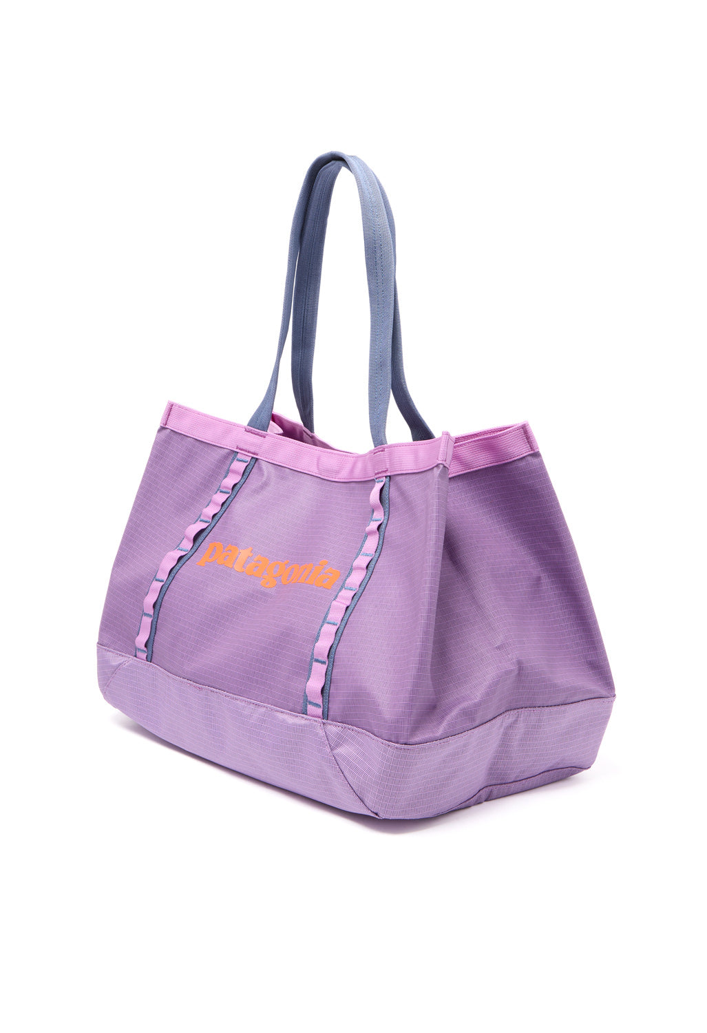 Patagonia Black Hole Tote 25L - Brisk Purple