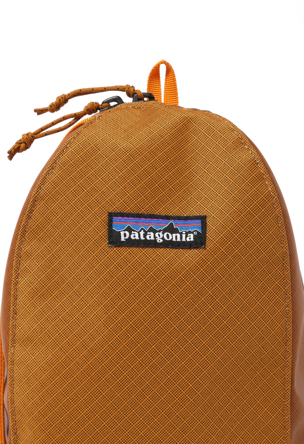 Patagonia Black Hole Cube 3L - Cinnamon Brown