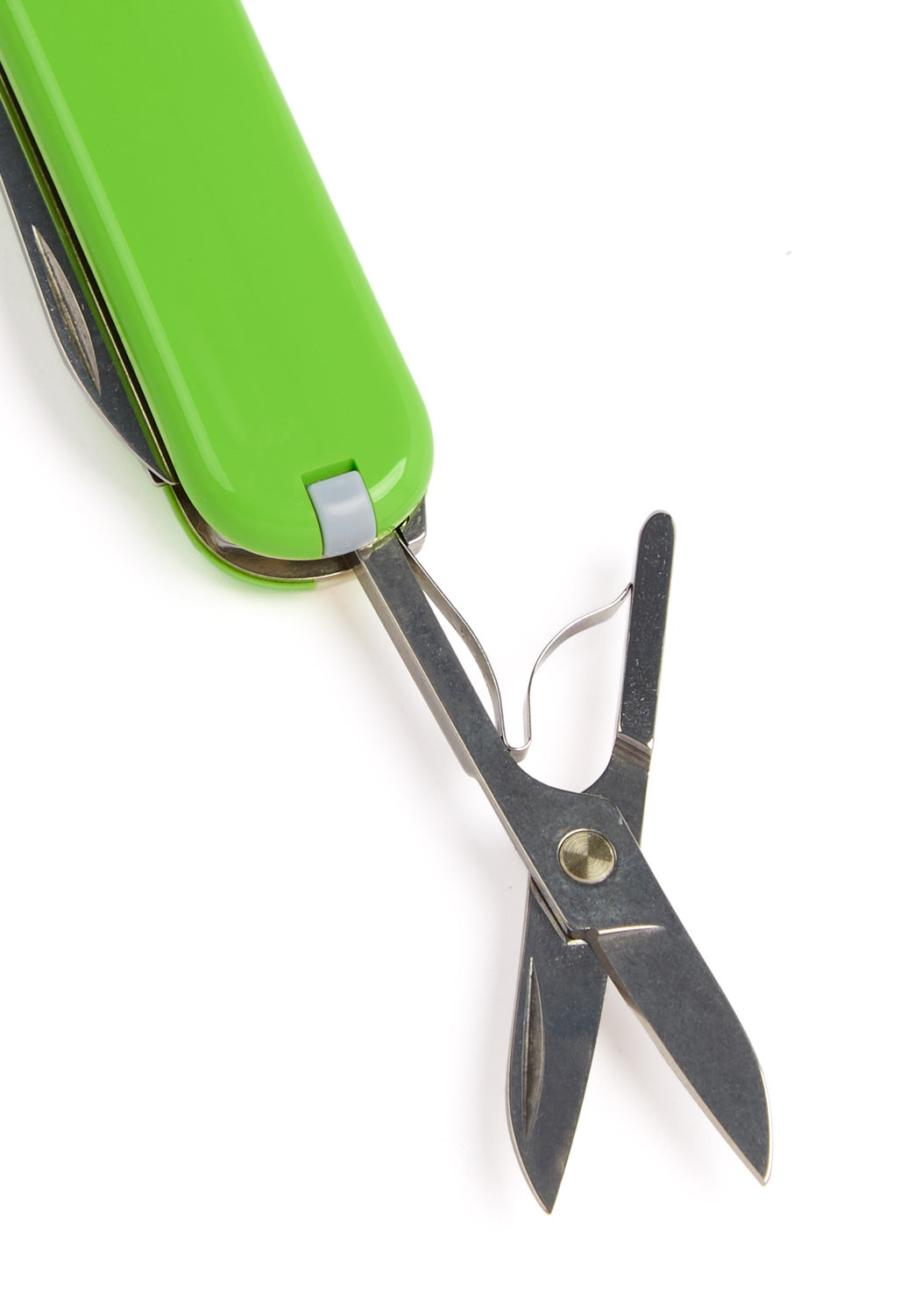 Victorinox Classic SD Knife - Smashed Avocado