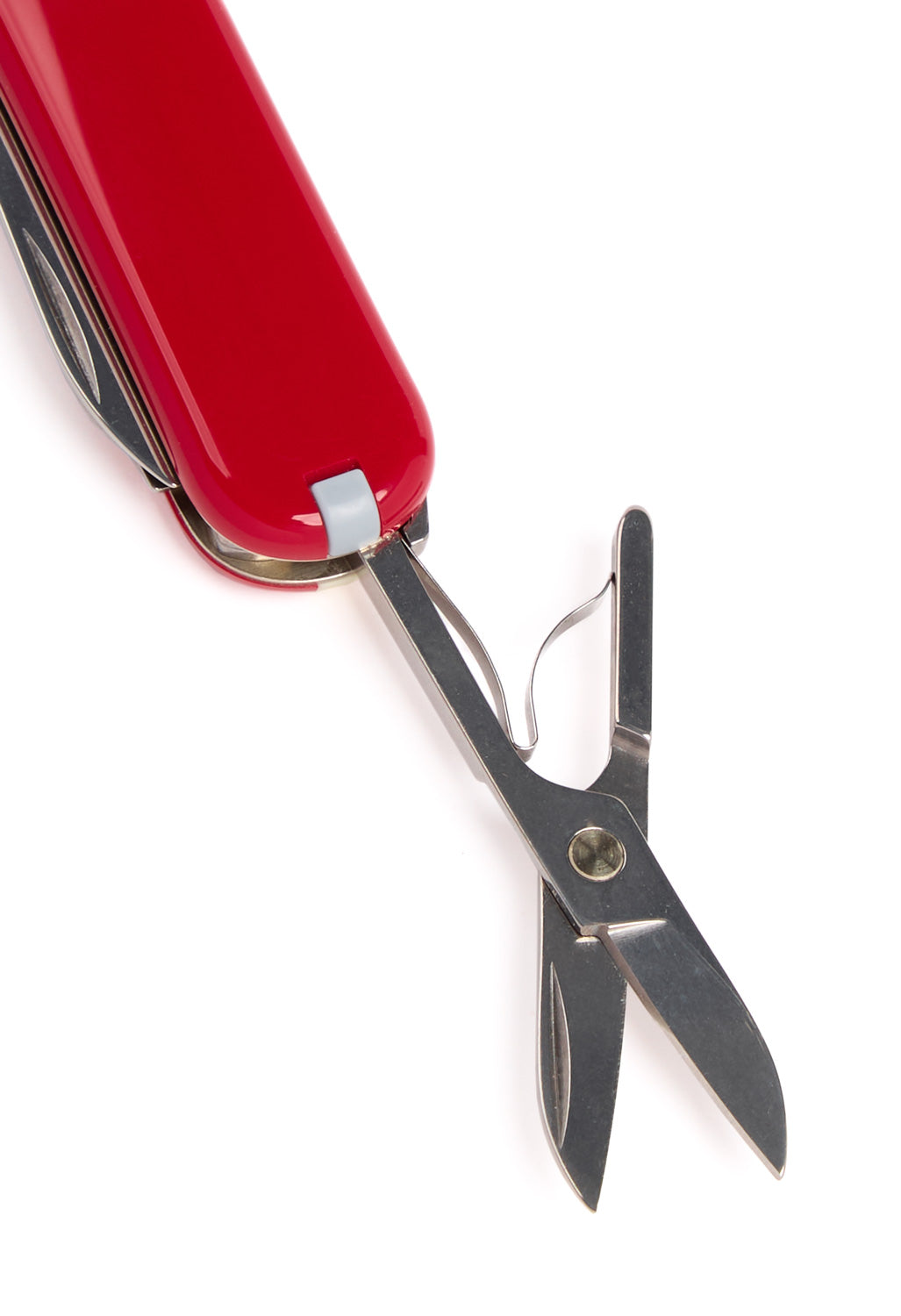 Victorinox Classic SD Knife - Style Icon