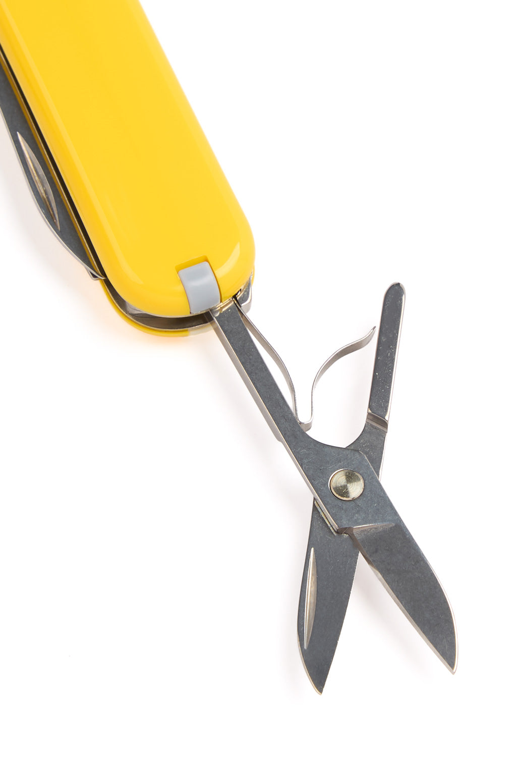 Victorinox Classic SD Knife - Sunny Side