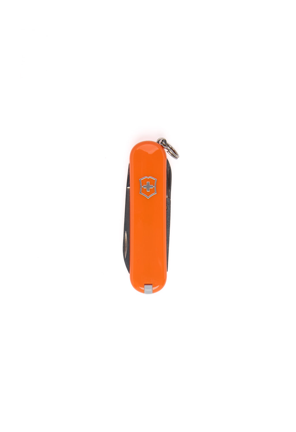 Victorinox Classic SD Knife - Mango Tango