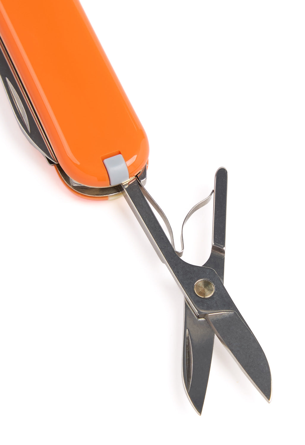 Victorinox Classic SD Knife - Mango Tango