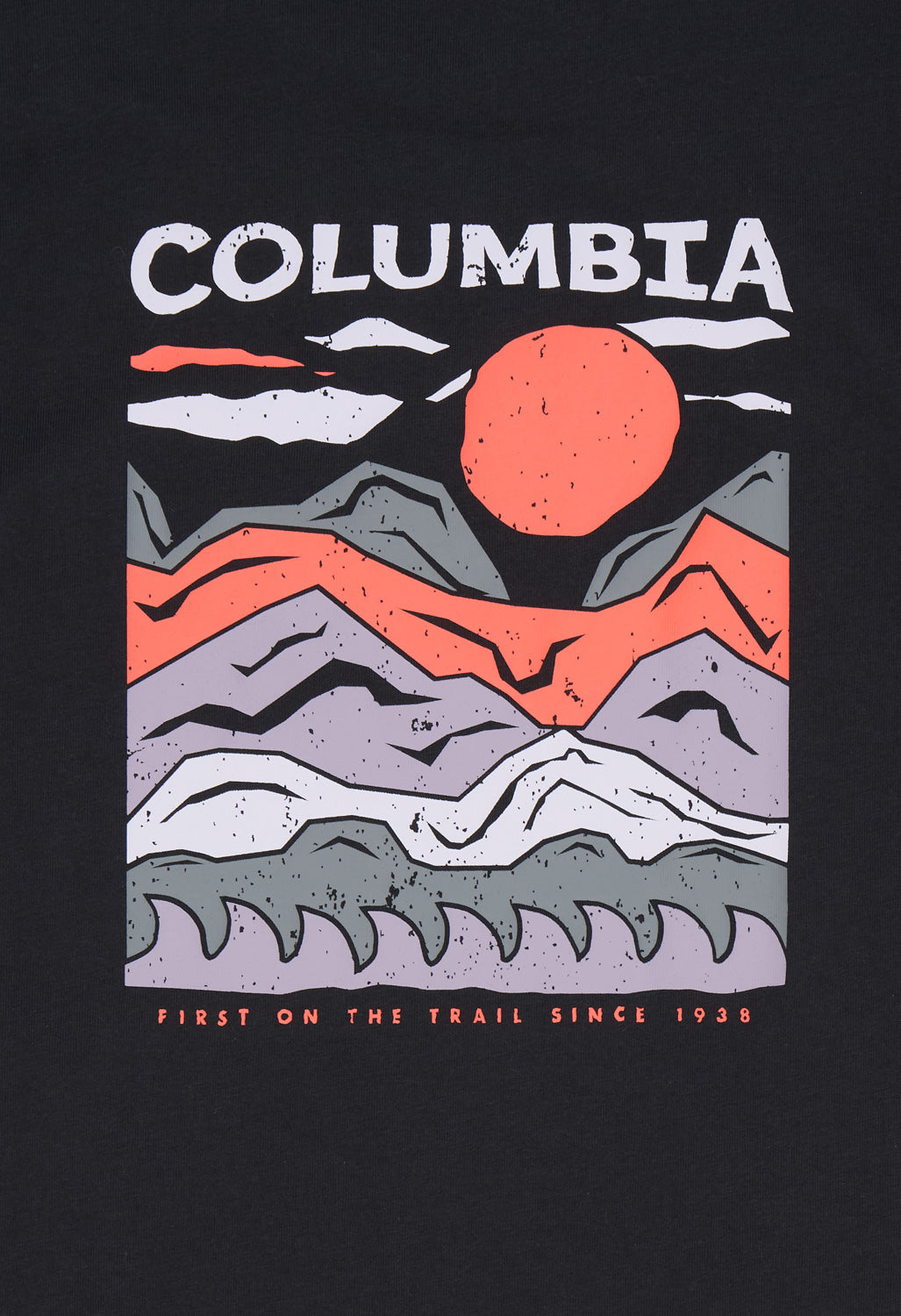 Columbia Men's Explorers Canyon Back Print T-Shirt - Black, Peaks And Waves