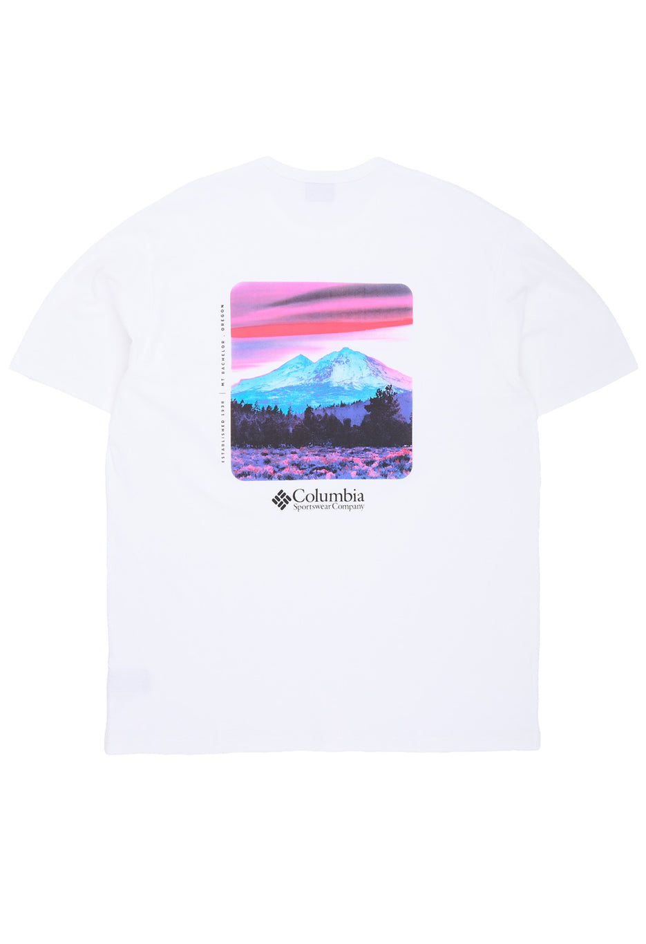 Columbia Men's CSC Heavyweight Back Graphic Tee - White / Photoreal CMYK