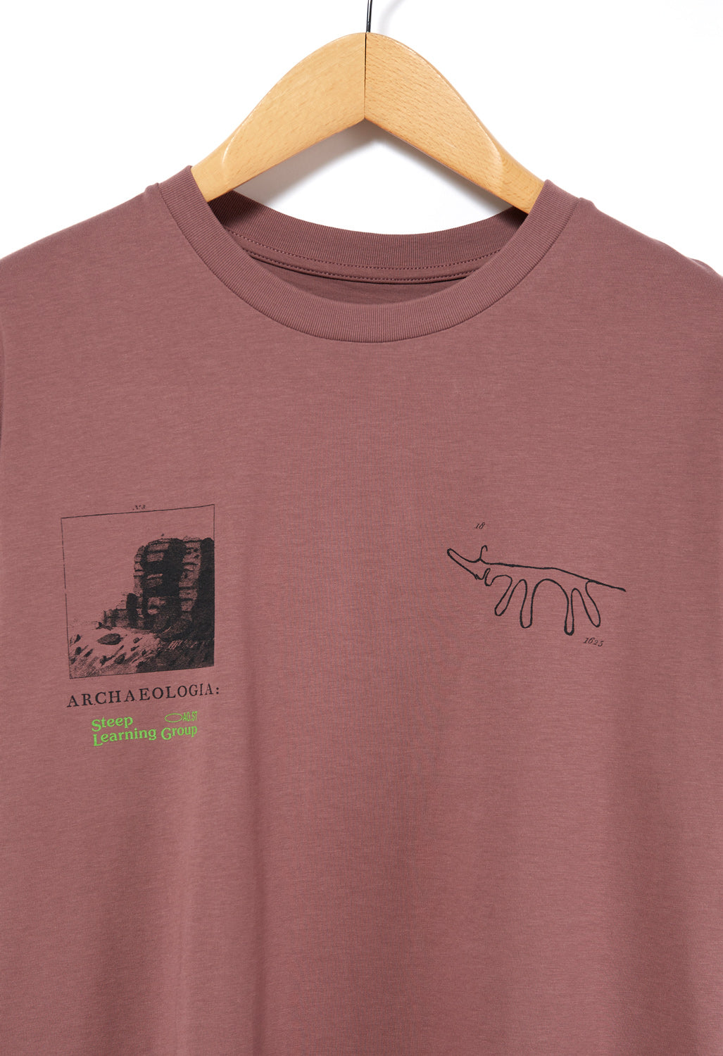 Steep Learning Group Robin Hood Stride Tee - Natural Wine Stain
