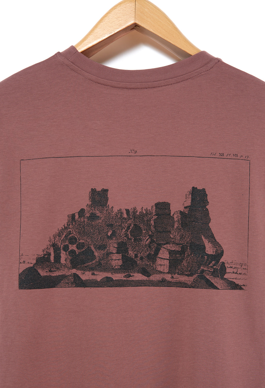 Steep Learning Group Robin Hood Stride Tee - Natural Wine Stain