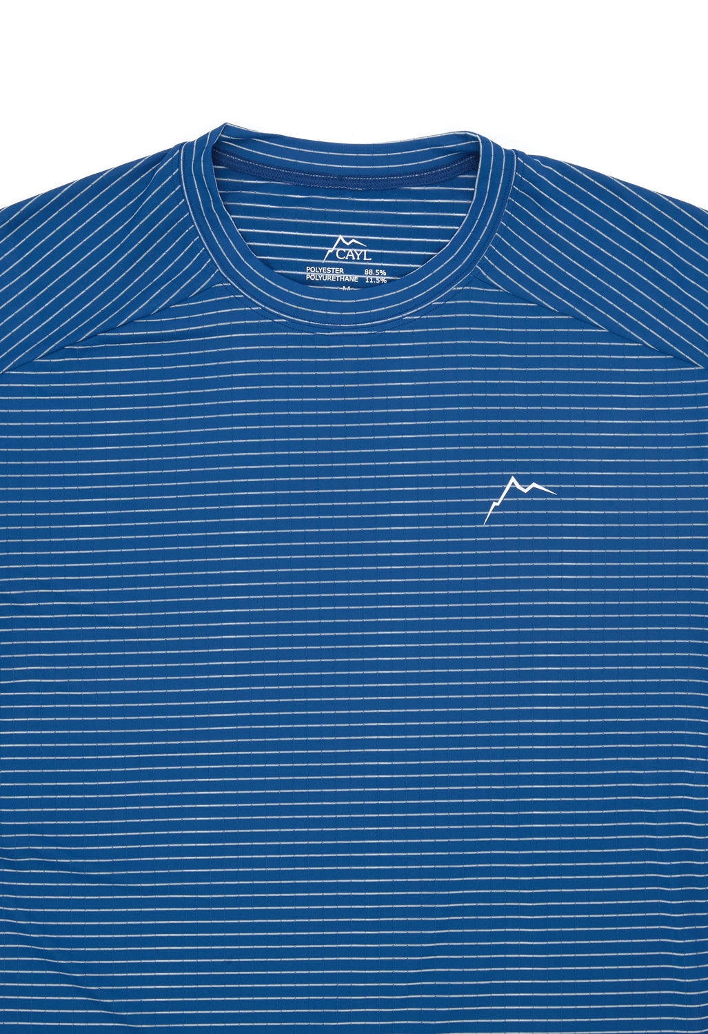 CAYL Men's Stripe Logo Short Sleeve Tee - Blue